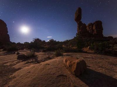 Zombie Survival Protocol